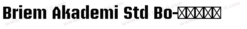 Briem Akademi Std Bo字体转换